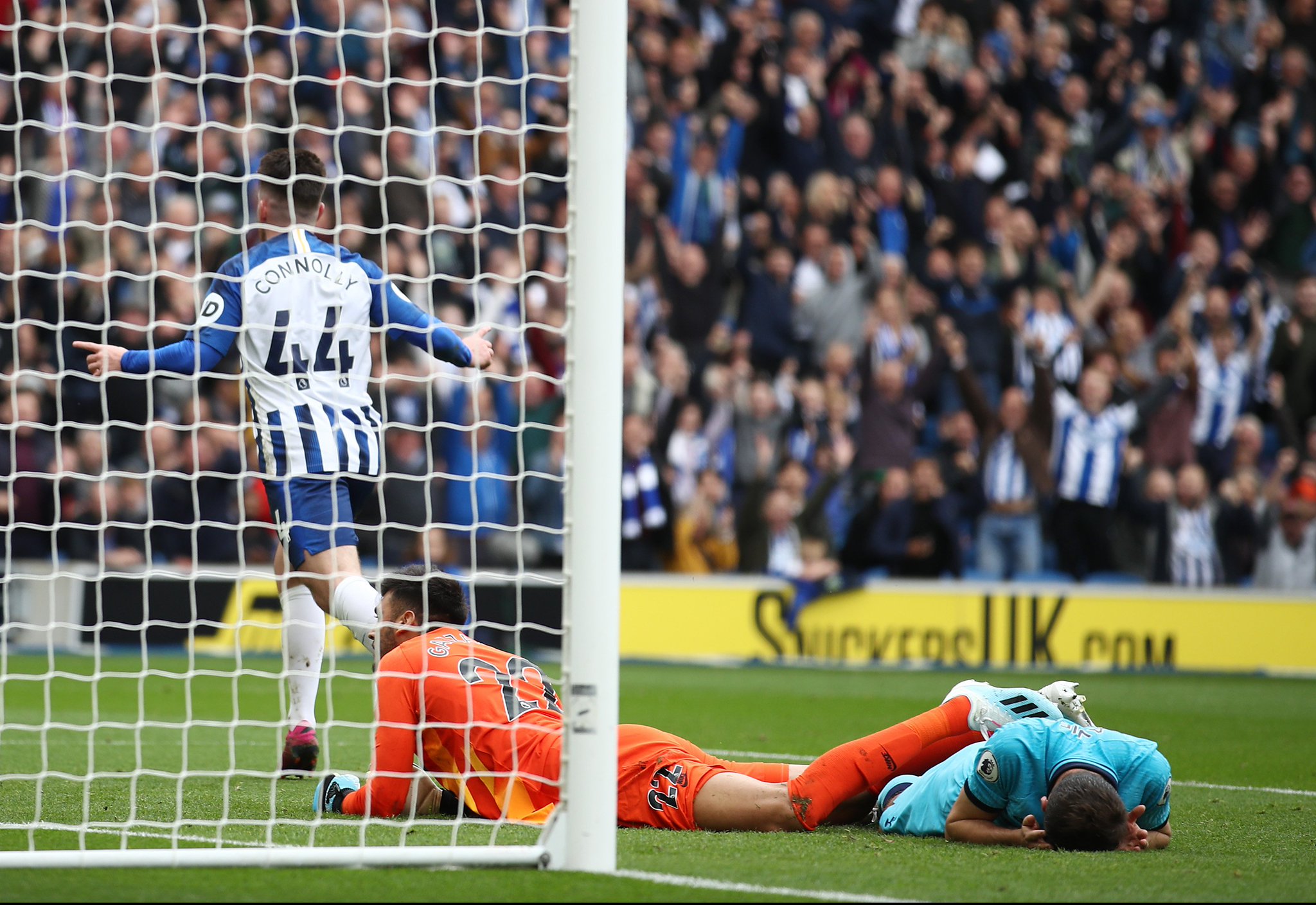 群体庞大 群体庞大