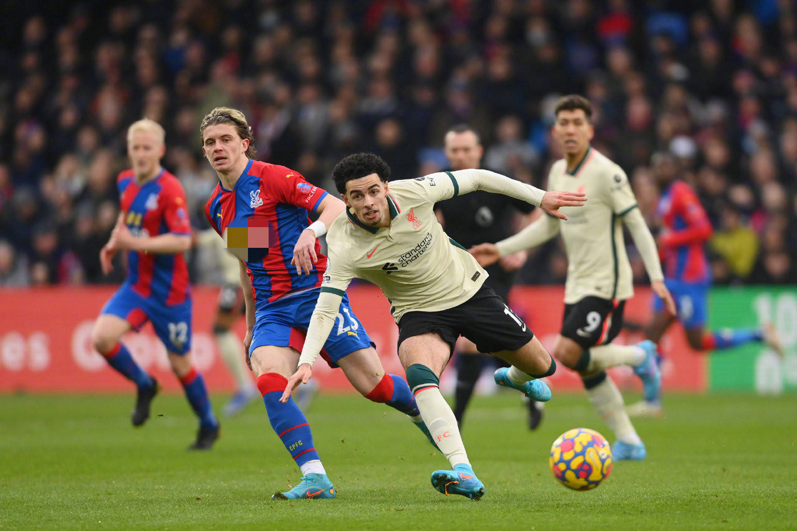 全国范围的 全国范围的